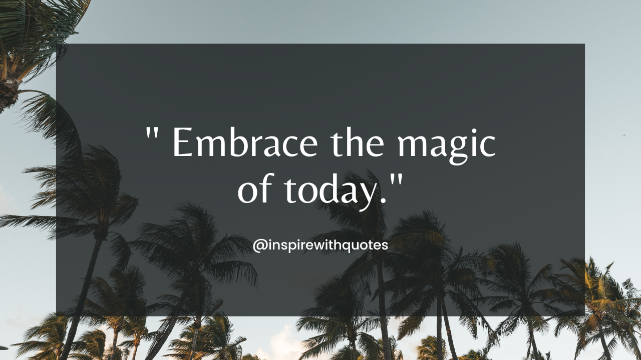 Embrace the magic of today.