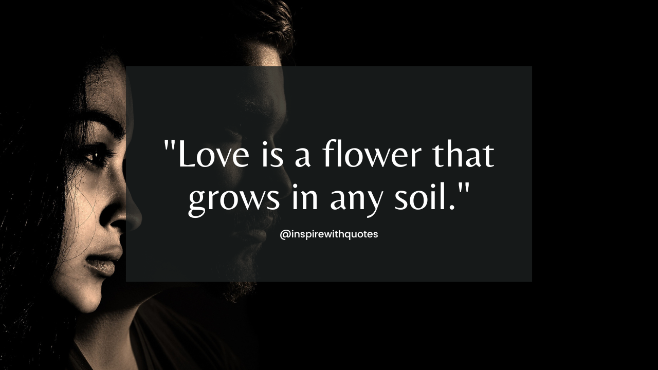 Love is a flower that grows in any soil