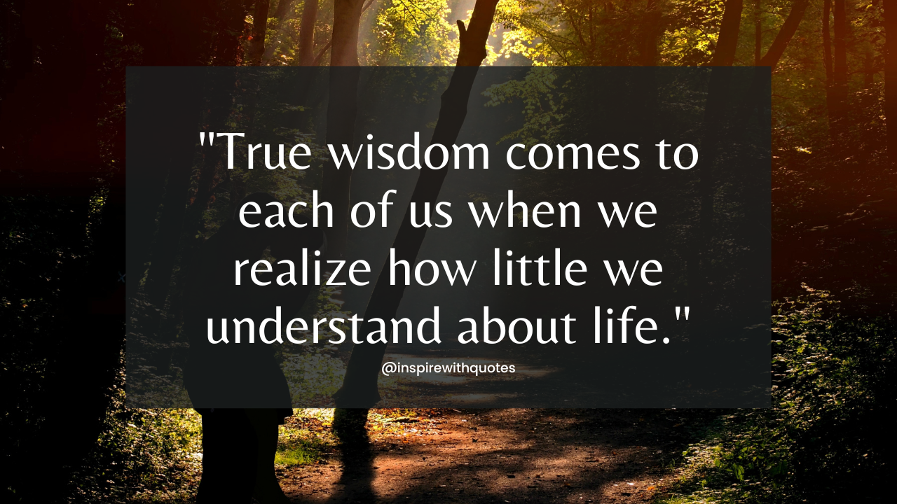 True wisdom comes to each of us when we realize how little we understand about life