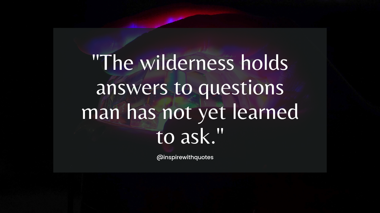 The wilderness holds answers to questions man has not yet learned to ask