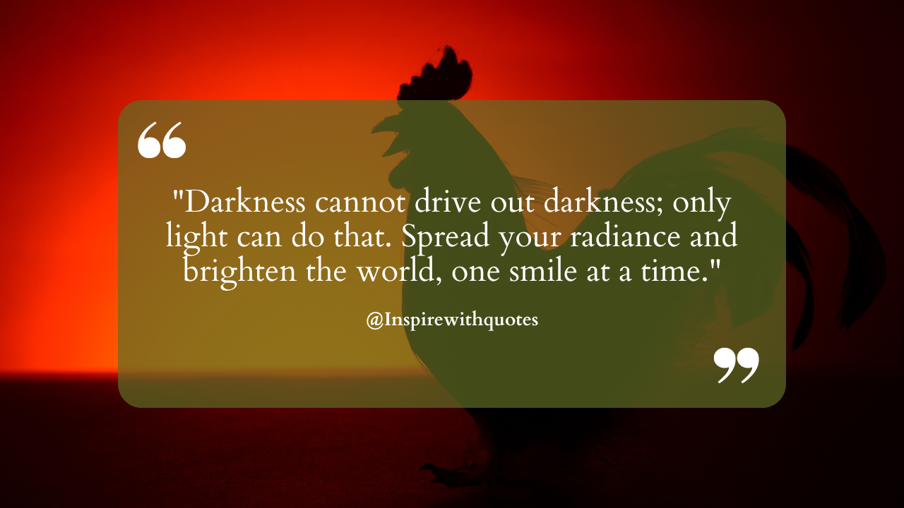 Darkness cannot drive out darkness; only light can do that. Spread your radiance and brighten the world, one smile at a time