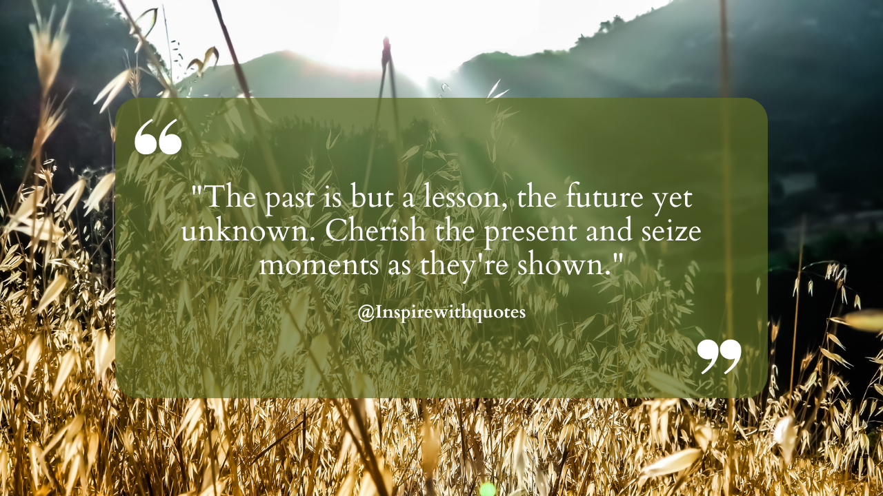 The past is but a lesson, the future yet unknown. Cherish the present and seize moments as they're shown