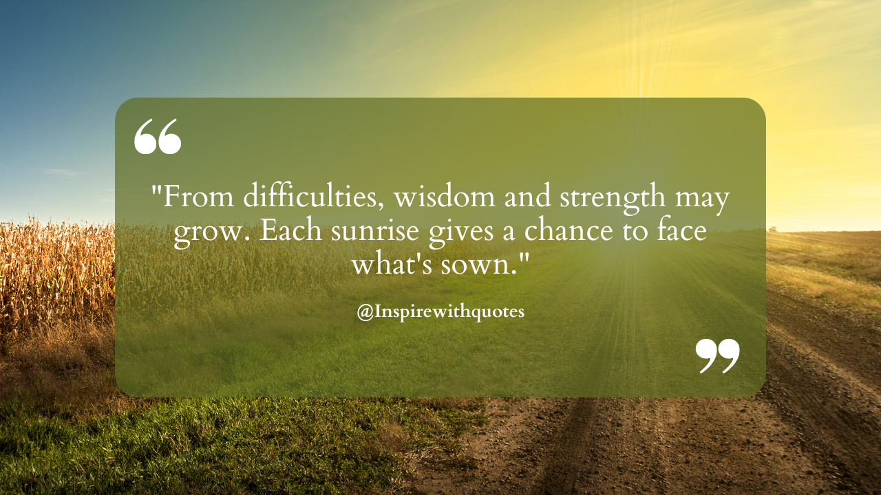 From difficulties, wisdom and strength may grow. Each sunrise gives a chance to face what's sown