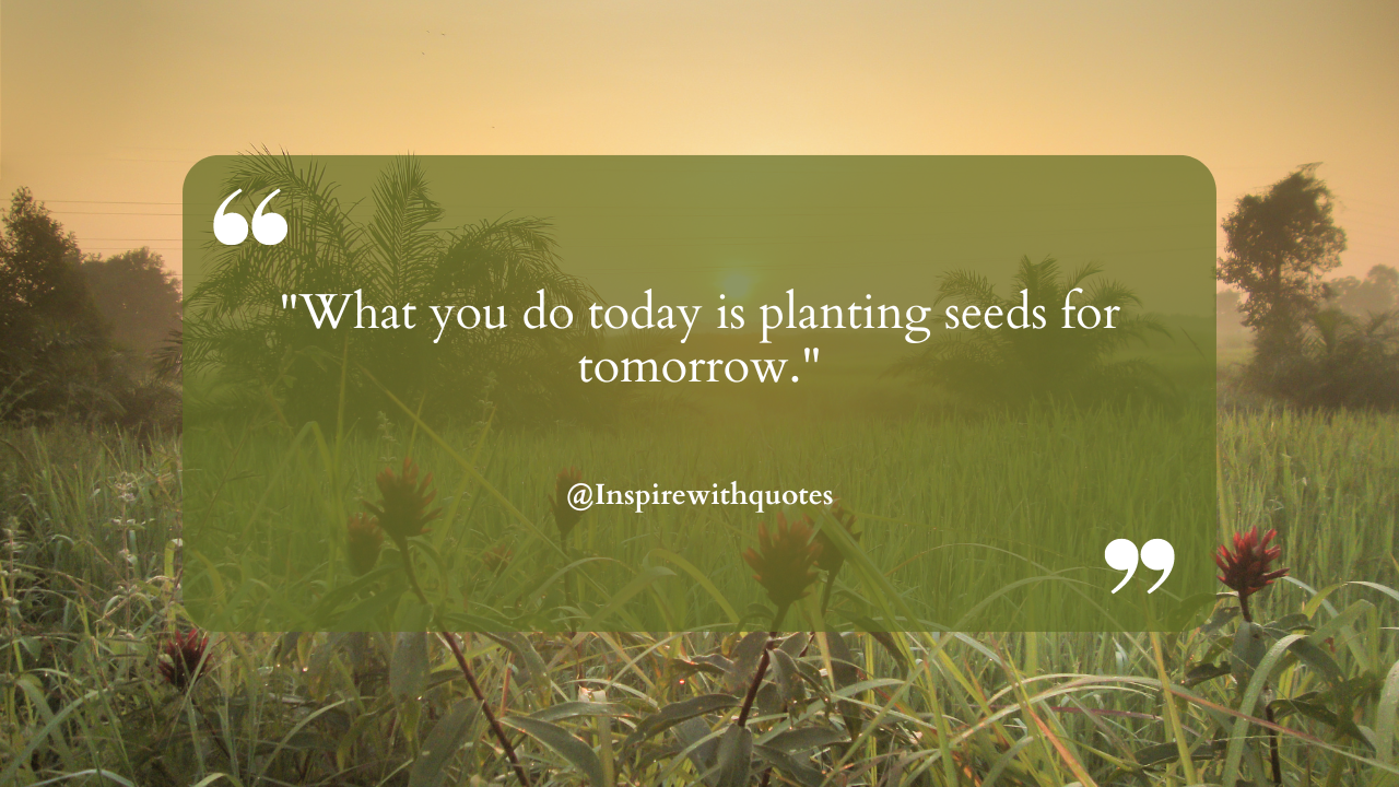 What you do today is planting seeds for tomorrow