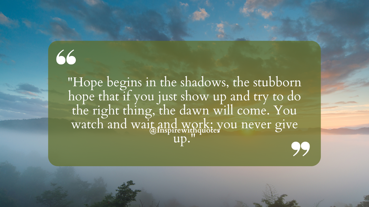 Hope begins in the shadows, the stubborn hope that if you just show up and try to do the right thing, the dawn will come. You watch and wait and work: you never give up