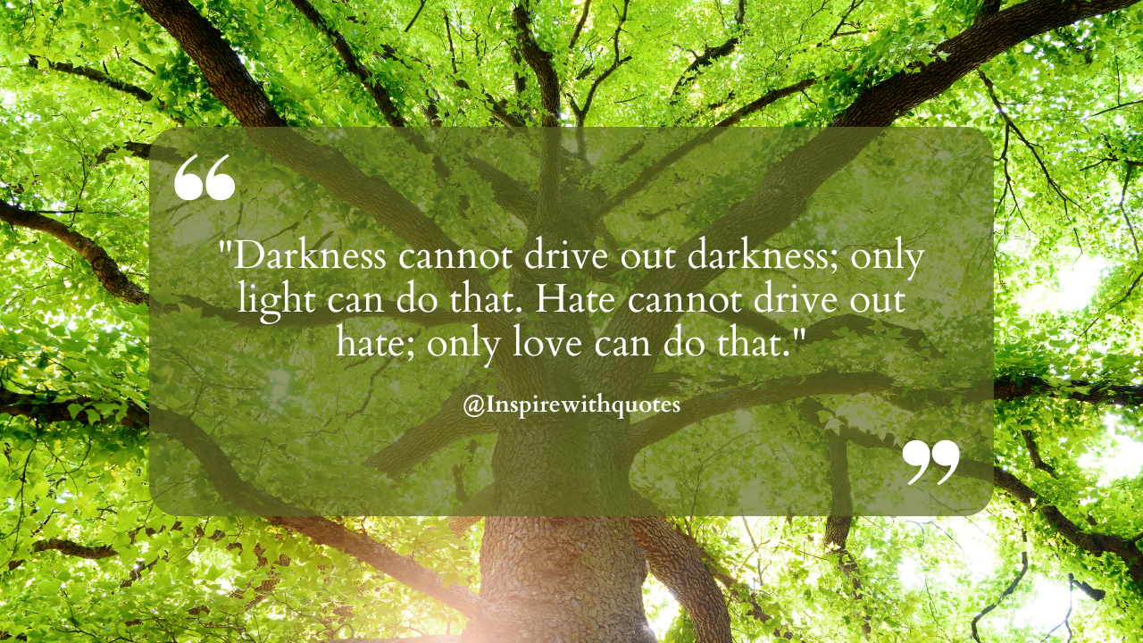 Darkness cannot drive out darkness; only light can do that. Hate cannot drive out hate; only love can do that